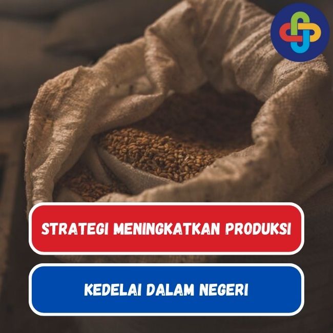 Ketahui 11 Strategi Meningkatkan Produksi Kedelai Dalam Negeri